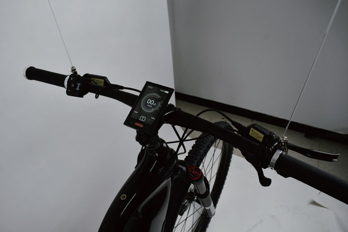 Electric Carbon XC Bicycle(Carlos C1)