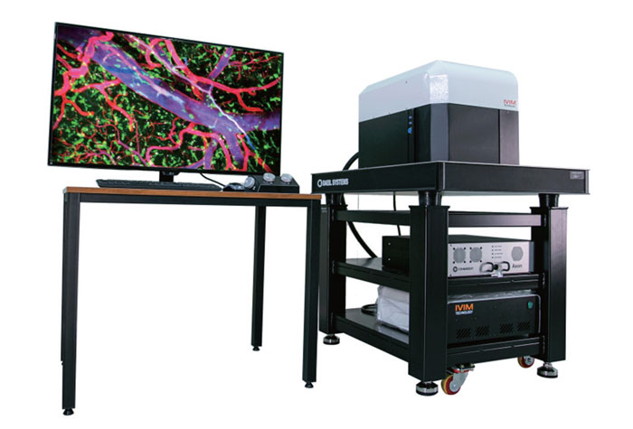 All-in-One Intravital Two-Photon Microscopy System